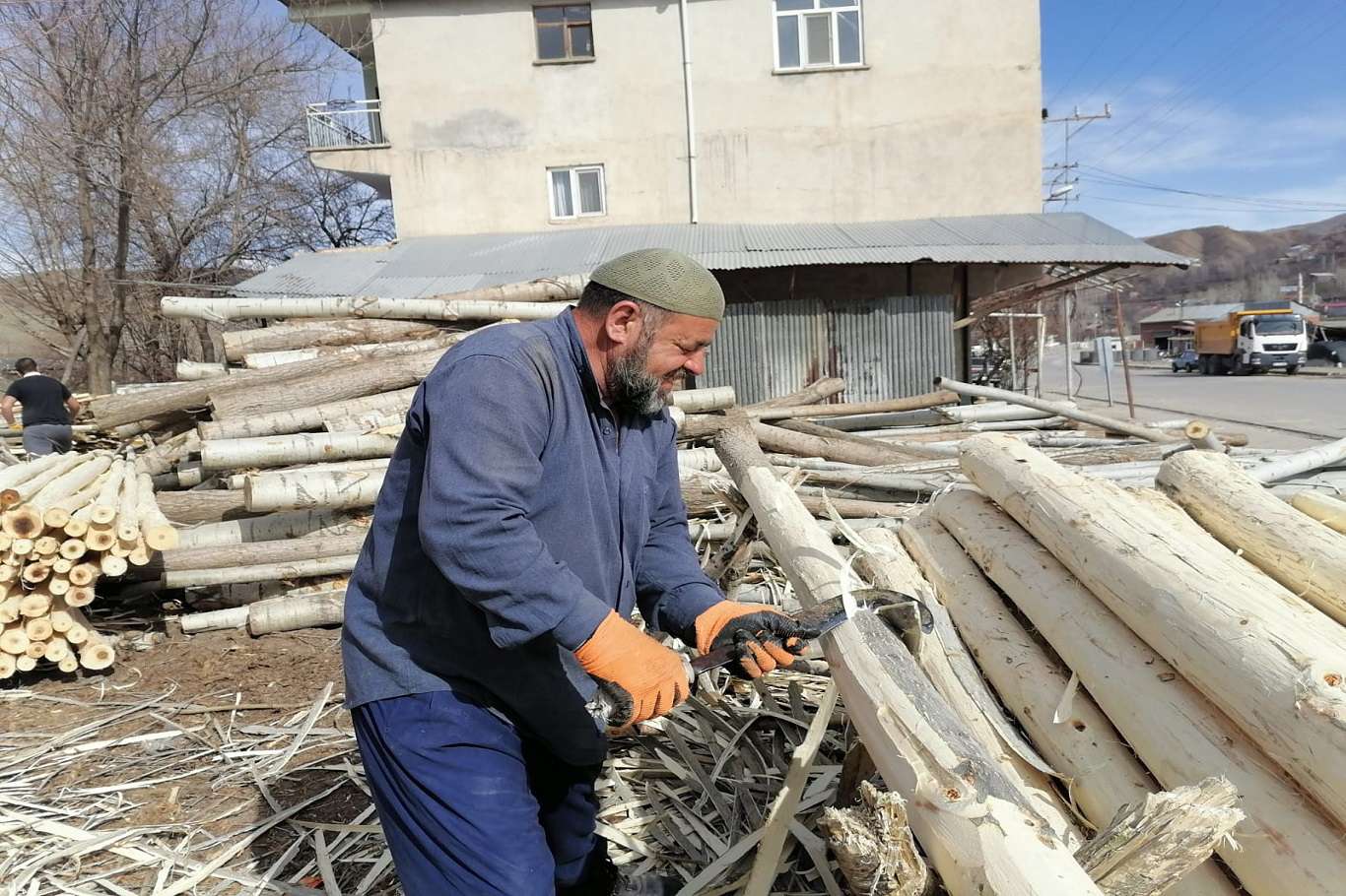 Kavak ağacı kabuklarını soyarak aile bütçelerine katkıda bulunuyorlar